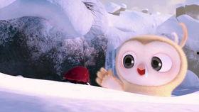 吃瓜视频每日大赛